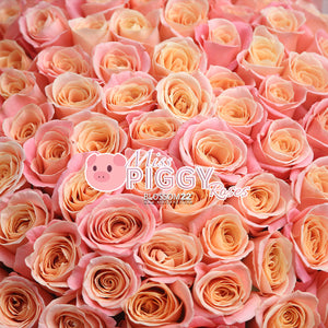 99枝 桃粉漸變玫瑰花束｜99 Miss Piggy Rose Bouquet  (情人節花束）