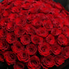 99枝 紅玫瑰求婚花束  99 Red Roses Bouquet