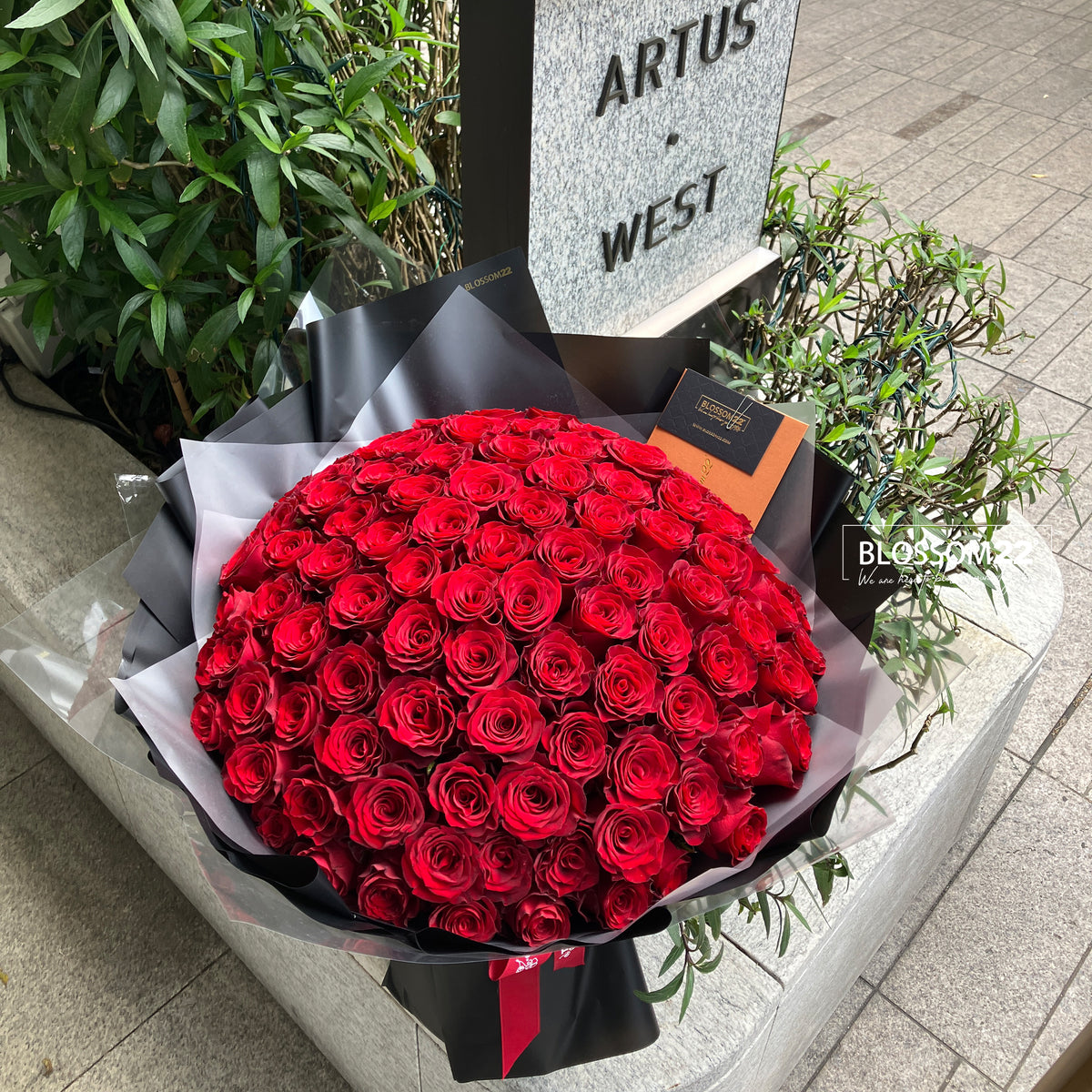 99枝 紅玫瑰求婚花束  99 Red Roses Bouquet