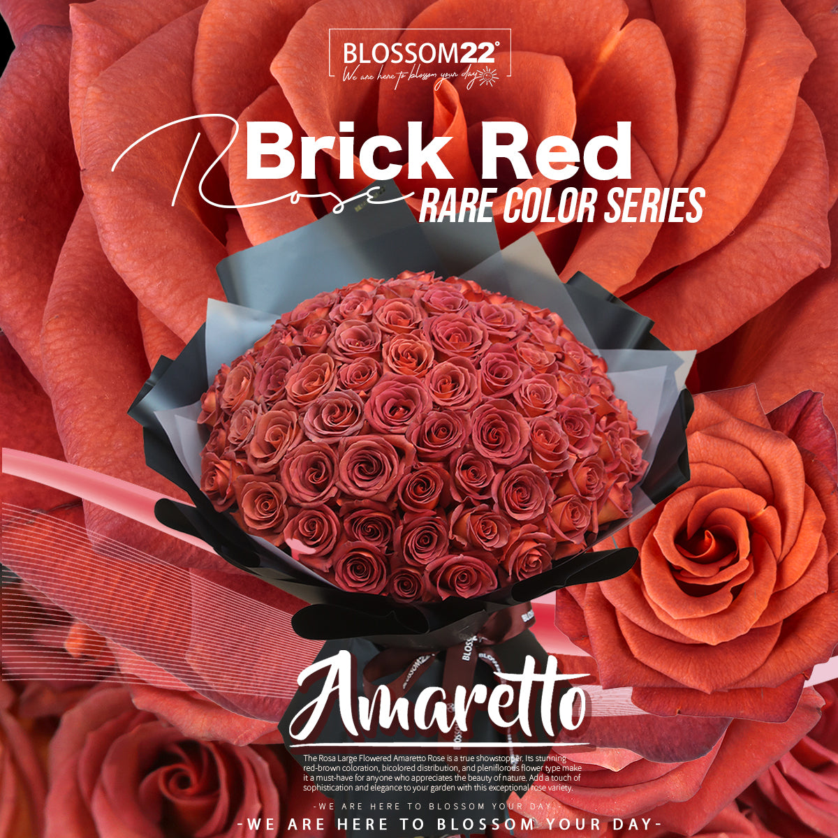 99枝 磚紅玫瑰花束｜99 Brick Red Roses Bouquet（Amaretto 99）