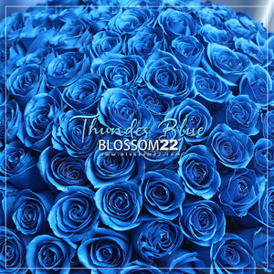 52枝 電藍玫瑰求婚花束｜52 Thunder Blue Roses Bouquet 花束 bouquet 鮮花束 Blossom22°