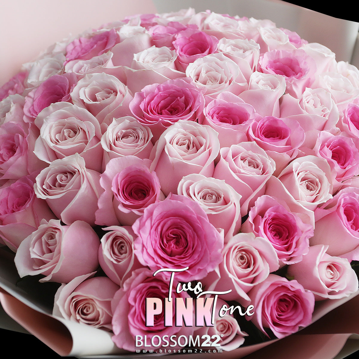 99枝 雙色粉混合玫瑰花束｜99 Pink mix Light Pink Rose Bouquet (99 Two Tone Pink)｜情人節花 fresh bouquet 鮮花束 Blossom22°