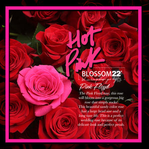 大頭桃紅玫瑰康乃馨風鈴花束｜Hot Pink Rose Eustoma Bell Flower Bouquet (母親節花束)