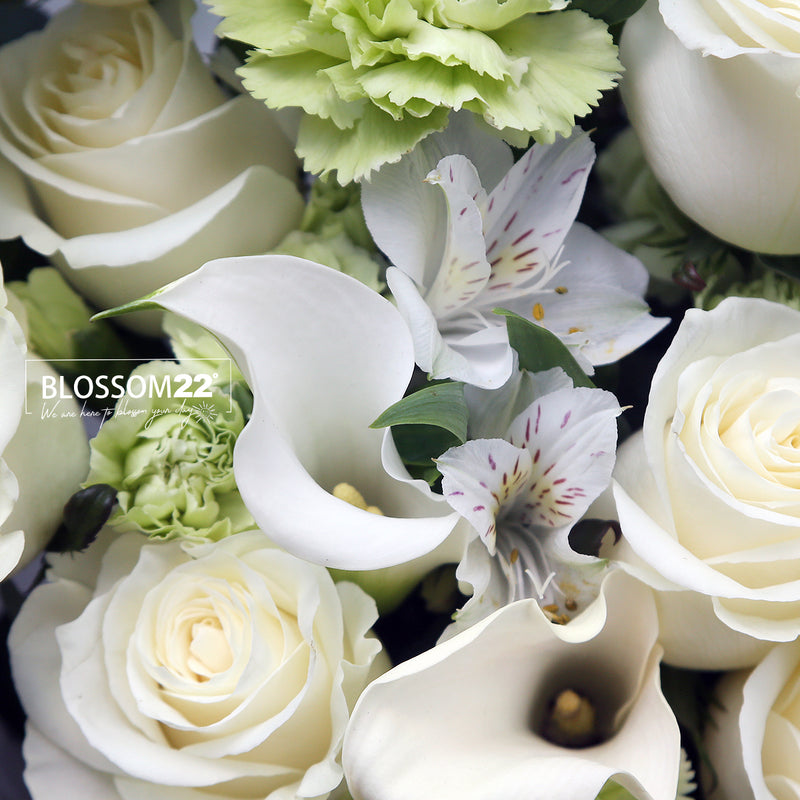 Mondial白玫瑰馬蹄蘭丁花秘魯百合花束｜ Mondial White Rose, Carnation,Peruvian & Calla Lily  Bouquet