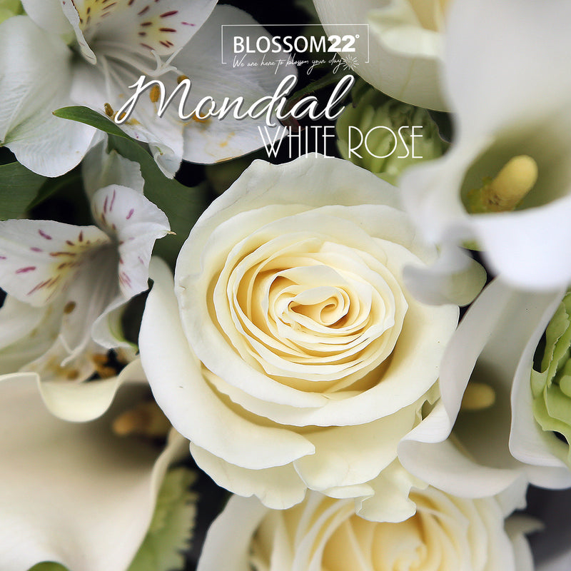 Mondial白玫瑰馬蹄蘭丁花秘魯百合花束｜ Mondial White Rose, Carnation,Peruvian & Calla Lily  Bouquet