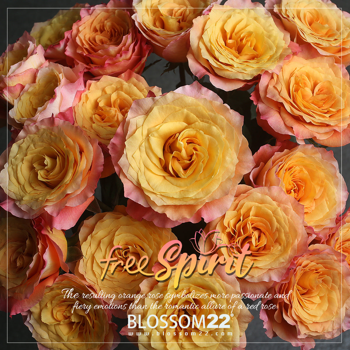 四季系列花束-夏｜Four Seasons Series Fresh Bouquet-Summer