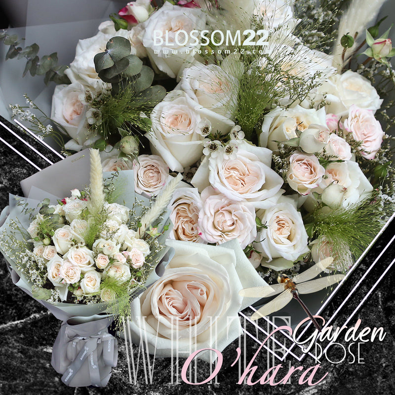 19枝 粉白庭園玫瑰小玫瑰花束｜19 White O'Hara Garden Rose & Spray Rose Bouquet