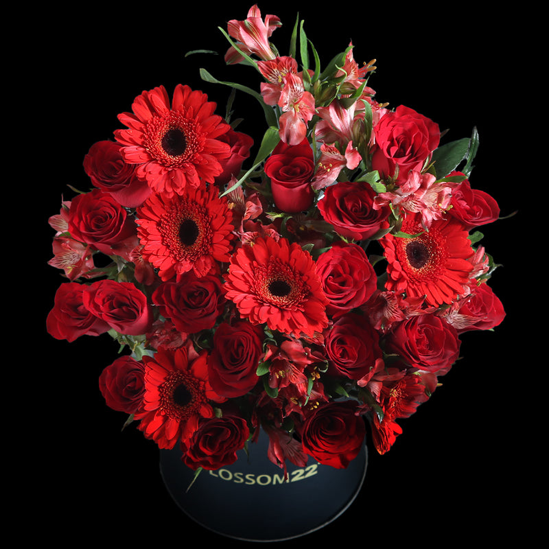 Red Rose Barberton Daisy Balloon Flower Bucket｜紅玫瑰非常菊汽球鮮花桶