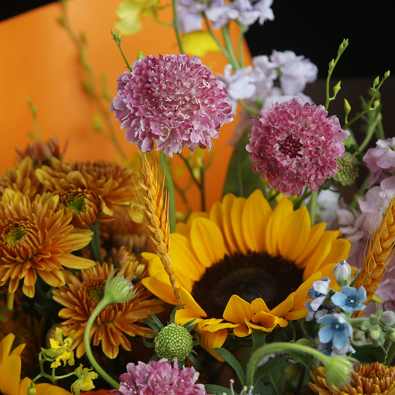 2 向日葵小太陽菊小玫瑰紫羅蘭花束｜2 Sunflower, Spray Rose and Hoary Stock Bouquet (Blessing)