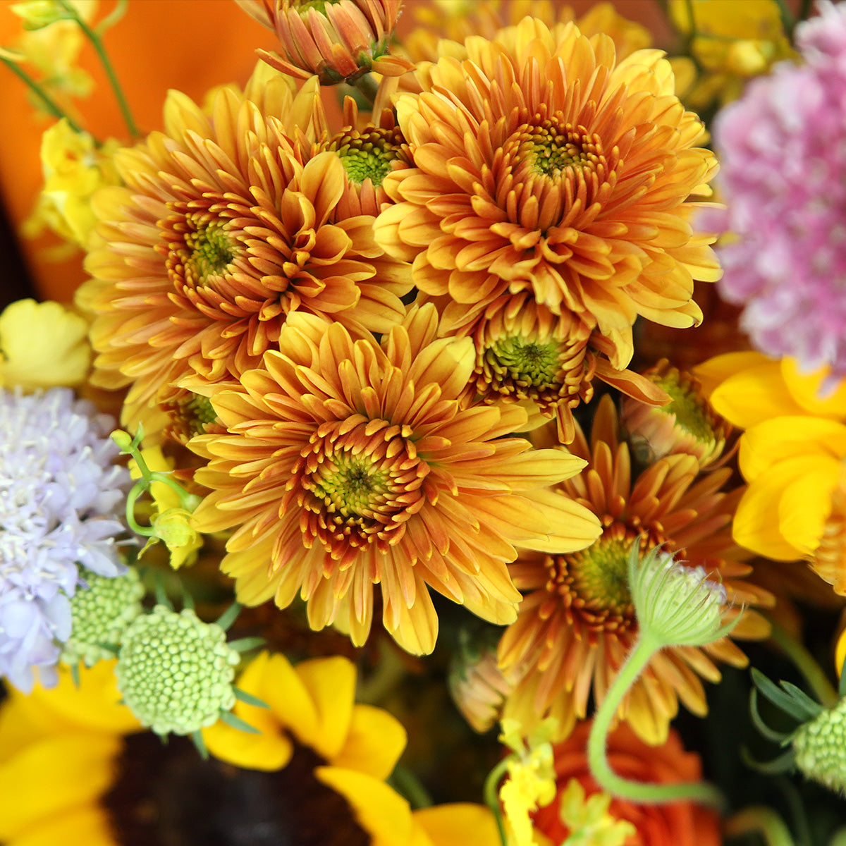 4 向日葵小太陽菊小玫瑰紫羅蘭花束｜4 Mixed Sunflower, ＆Spray Rose and Hoary Stock Bouquet (Blessing)