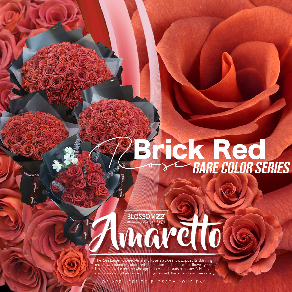 19枝 磚紅玫瑰花束｜19 Brick Red Rose Bouquet（19 Amaretto)