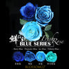 19枝 電藍玫瑰花束｜19 Thunder Blue Dyeing Rose bouquet(Blue Thunder) fresh bouquet 鮮花束 BLOSSOM22