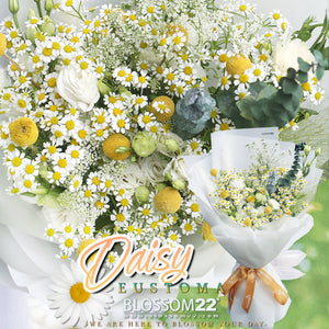 洋甘菊桔梗花束｜Daisy & Eustoma fresh bouquet