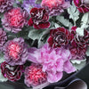 12 混色紫色康乃馨紫羅蘭牡丹花束｜12 Mixed Purple Carnation Violet Peony Bouquet