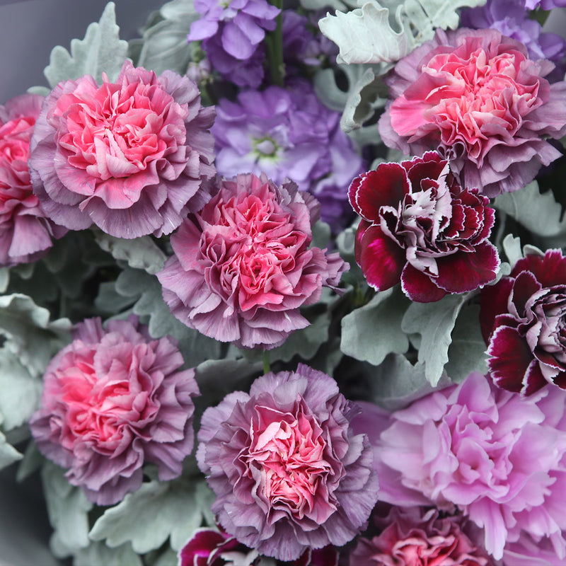 12 混色紫色康乃馨紫羅蘭牡丹花束｜12 Mixed Purple Carnation Hoary Stock  Peony Bouquet (母親節花束)