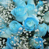 19枝 冰閃藍玫瑰花束｜19 Ice Blue Dyeing Rose bouquet (Frozen) fresh bouquet 鮮花束 BLOSSOM22