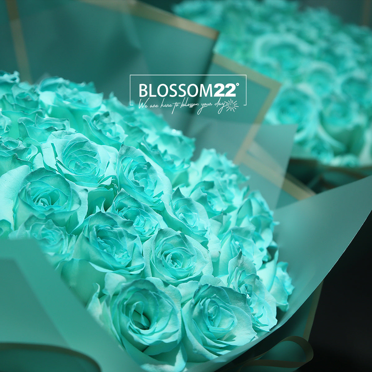 52 蒂芬妮藍玫瑰鮮花束｜52 Tiffany Blue Dyeing Roses Bouquet