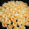 52枝 香檳玫瑰求婚花束｜52 Champagne Roses Bouquet 花束 bouquet 鮮花束 Blossom22°