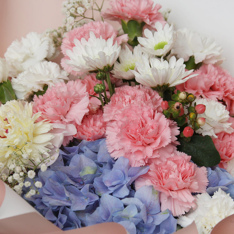 19枝 粉白康乃韾繡球花束｜19 Pink & White Carnation with Hydrangea(Motherly Love)母親節花 fresh bouquet 鮮花束 BLOSSOM22