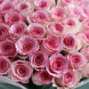 52枝 粉芯奧斯汀庭園玫瑰｜52 Pink Mandala Austin Garden Rose