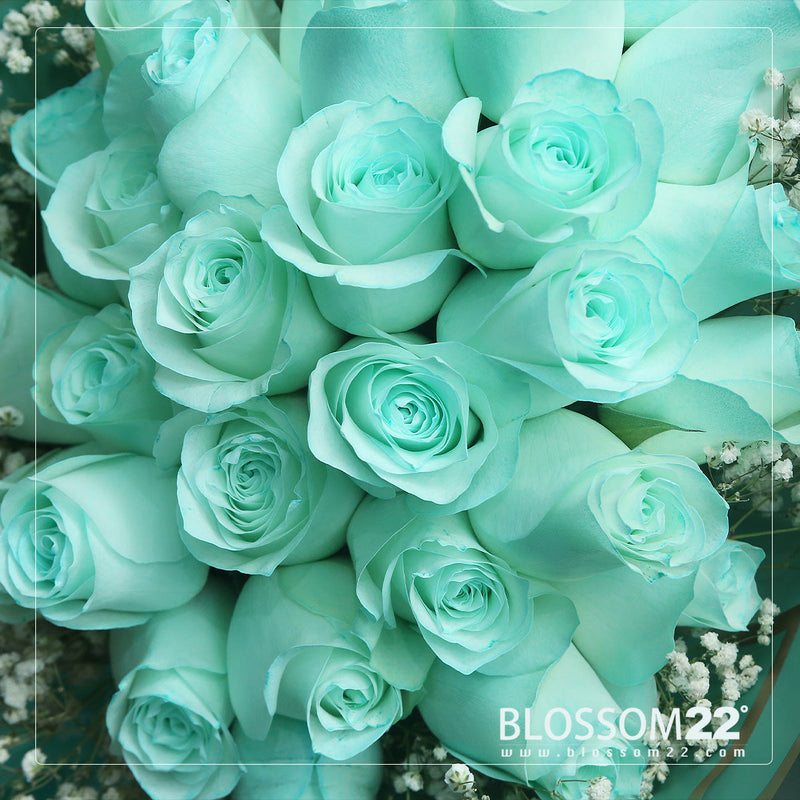 29 蒂芬妮藍玫瑰鮮花束｜29 Tiffany Blue Dyeing Rose Bouquet（520花束)