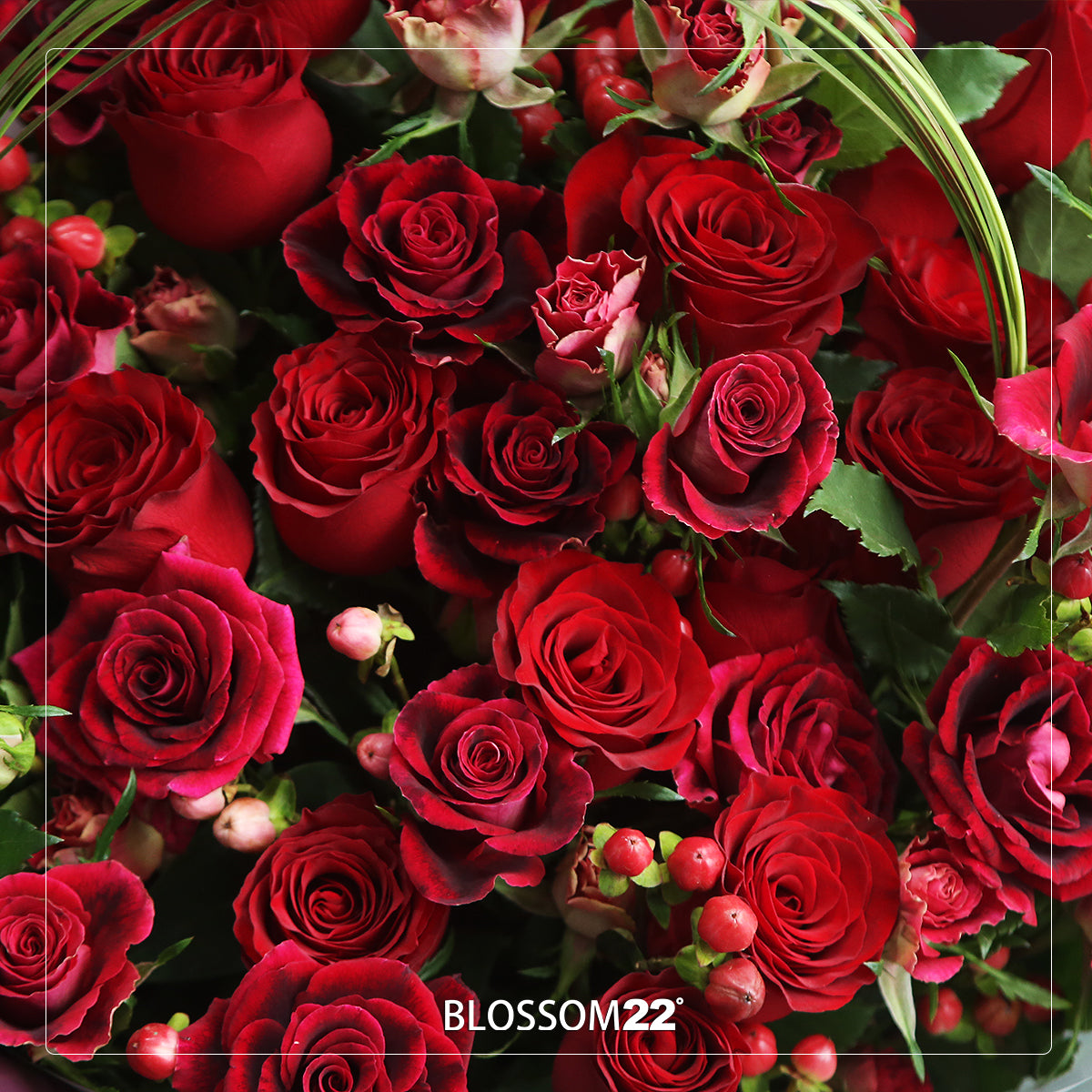 ୨୧˙˳⋆薔薇紅୨୧˙˳⋆ 99枝紅玫瑰花束