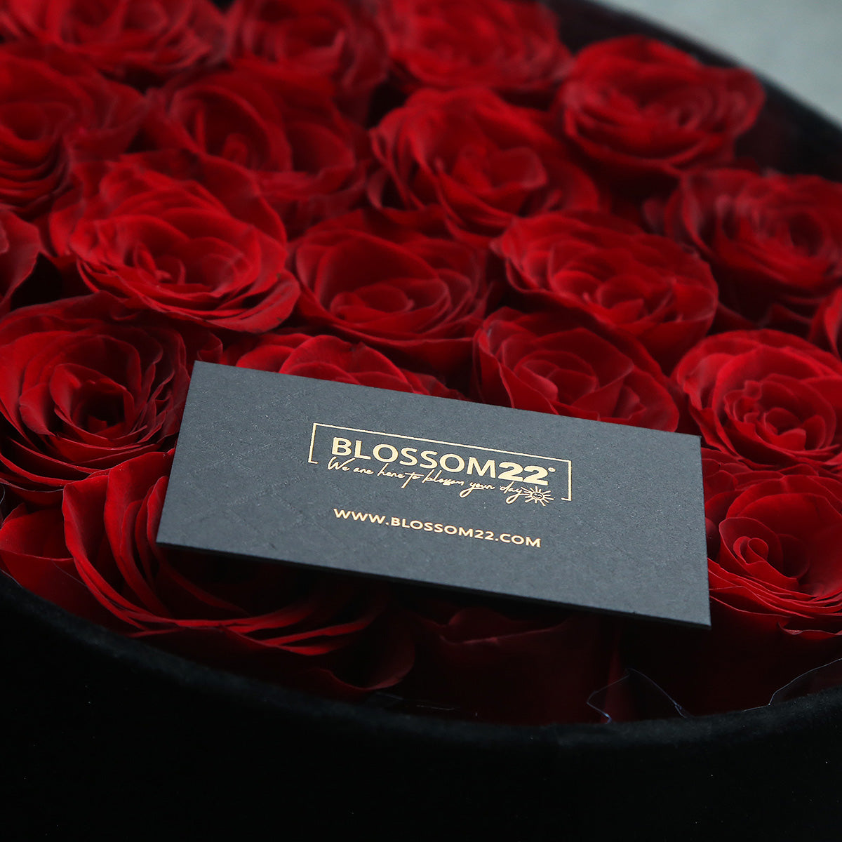 經典紅玫瑰黑絨禮盒｜ Red Roses Luxary Box