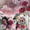 粉康乃馨紫羅蘭松蟲草花束｜Pink Carnation Violet Scabiosa Bouquet（母親節花束）