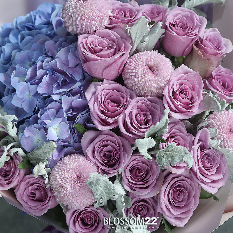 19枝 紫玫瑰及繡球花束｜19 Purple Roses ＆ Hydrangea Bouquet (Song of the Ocean)