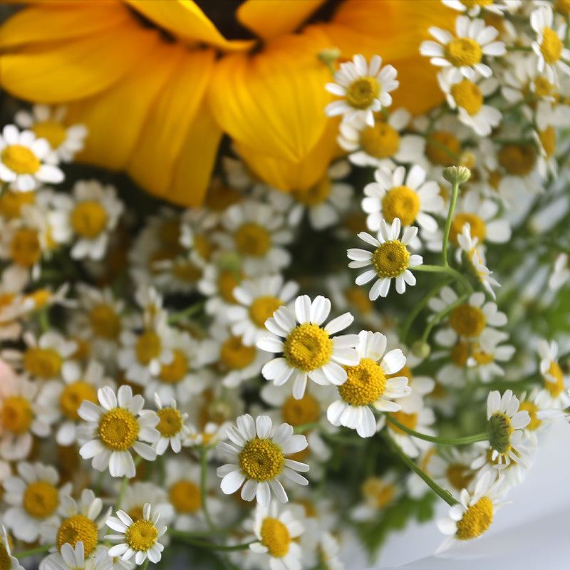 太陽花洋甘菊桔梗花束｜Sun Flower, Daisy & Eustoma fresh bouquet