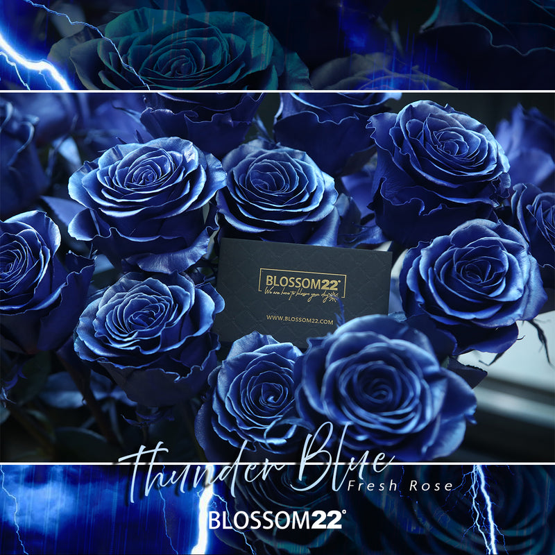 33枝 電藍玫瑰花束｜33 Thunder Blue Dyeing Roses Bouquet