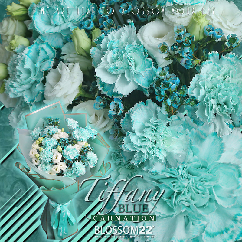 12枝 蒂芬妮藍康乃馨洋桔梗蠟梅花束｜12 Tiffany Blue Dyeing Carnation Eustoma Wax Flower bouquet