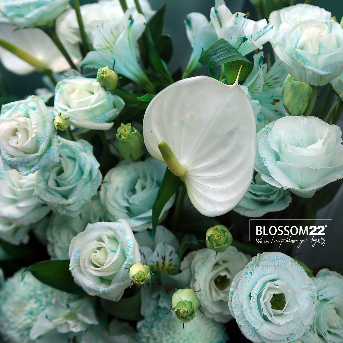 蒂芬妮藍秘魯百合桔梗白掌花束｜Tiffany Blue Dyeing Peruvian & Peace Lily Pompon Mum bouquet