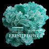 19枝 蒂芬妮玫瑰繡球花束 ｜19 Tiffany Blue Roses Hydrangea Bouquet