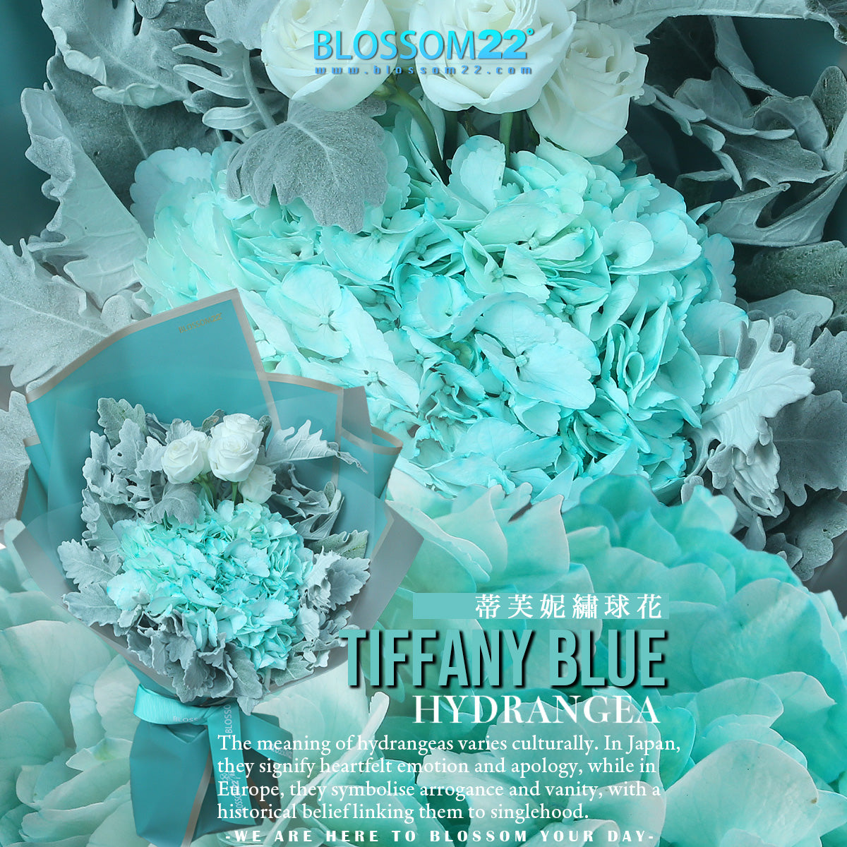 蒂芙妮繡球桔梗鮮花束｜Tifffany Blue Hydrangea ＆ Eustoma Bouquet