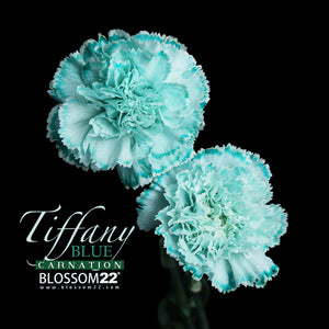 12枝 蒂芬妮藍康乃馨洋桔梗蠟梅花束｜12 Tiffany Blue Dyeing Carnation Eustoma Wax Flower bouquet（母親節花束)