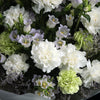 混色康乃馨風鈴花束｜Mixed Carnation Bell Flower Bouquet (母親節花束)
