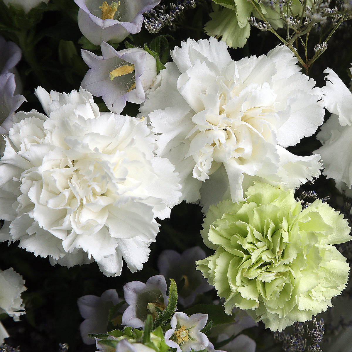 混色康乃馨風鈴花束｜Mixed Carnation Bell Flower Bouquet (母親節花束)