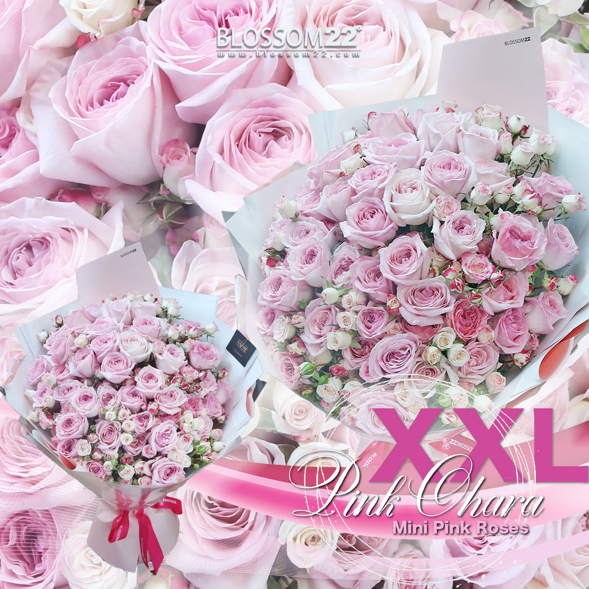 加大版 淺粉及多頭玫瑰花束｜XXL Light Pink & Mini Pink Roses Bouquet (Pink O'Hara)