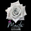 19枝 淺灰玫瑰花束 ｜19 Menta Grey Rose bouquet(Menta) fresh bouquet 鮮花束 BLOSSOM22