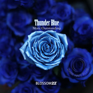 19枝 電藍玫瑰花束｜19 Thunder Blue Dyeing Rose bouquet(Blue Thunder) fresh bouquet 鮮花束 BLOSSOM22