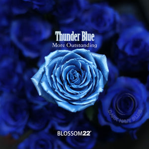52枝 電藍玫瑰求婚花束｜52 Thunder Blue Roses Bouquet 花束 bouquet 鮮花束 Blossom22°