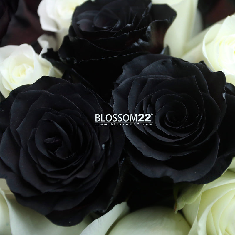 33 染黑白玫瑰花束｜33 Dyeing Dark & Whites Roses Bouquet (tuxedo) 花束 bouquet 鮮花束 Blossom22°