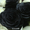 33 染黑白玫瑰花束｜33 Dyeing Dark & Whites Roses Bouquet (tuxedo) 花束 bouquet 鮮花束 Blossom22°