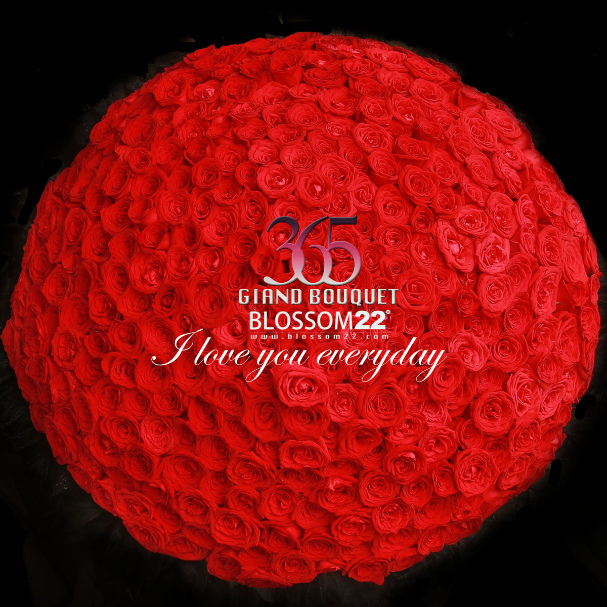 365枝 紅玫瑰花束｜365 Red Roses Bouquet fresh bouquet 鮮花束 Blossom22°