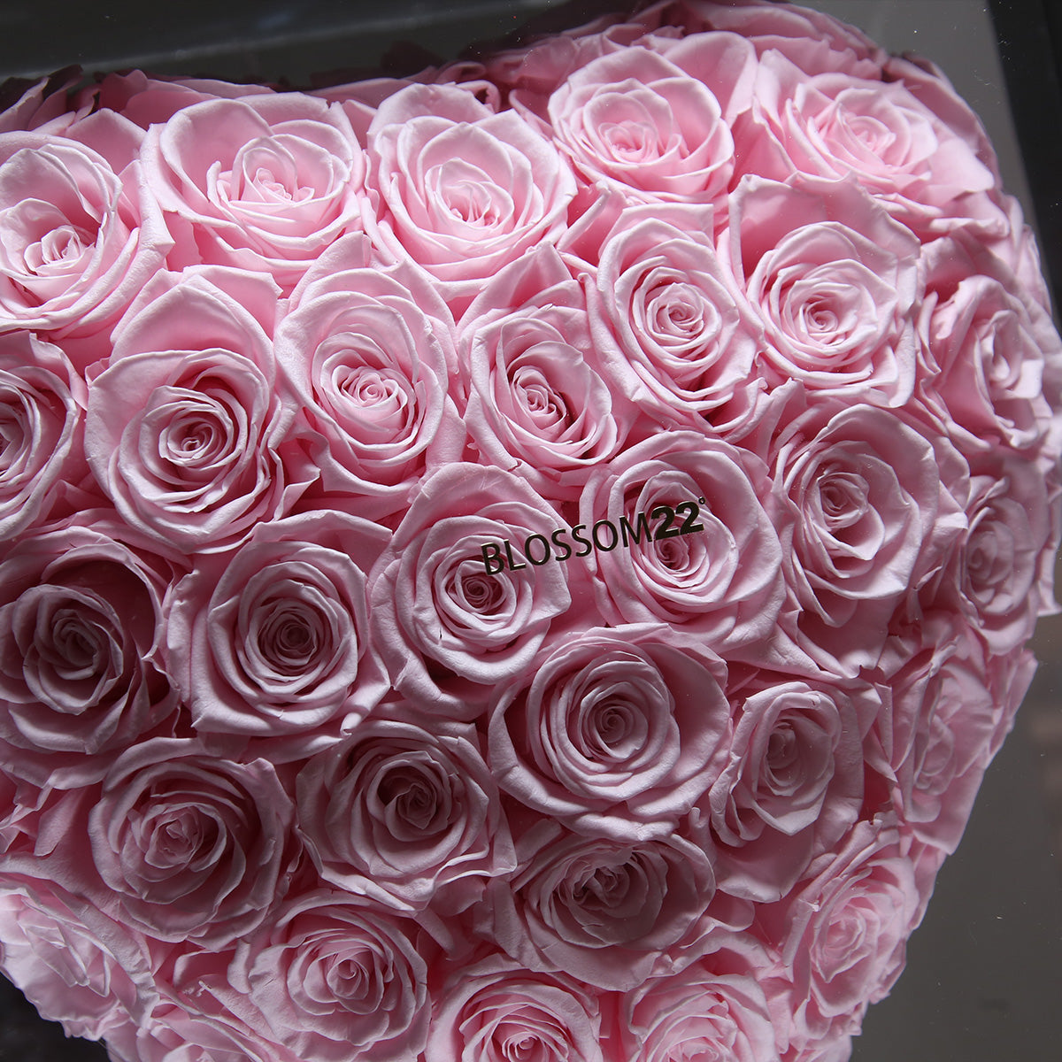 XXL 3D Heart Preserved Rose ｜巨型立體鏡面玫瑰之心保鮮花盒 - Pink  Blossom22hk
