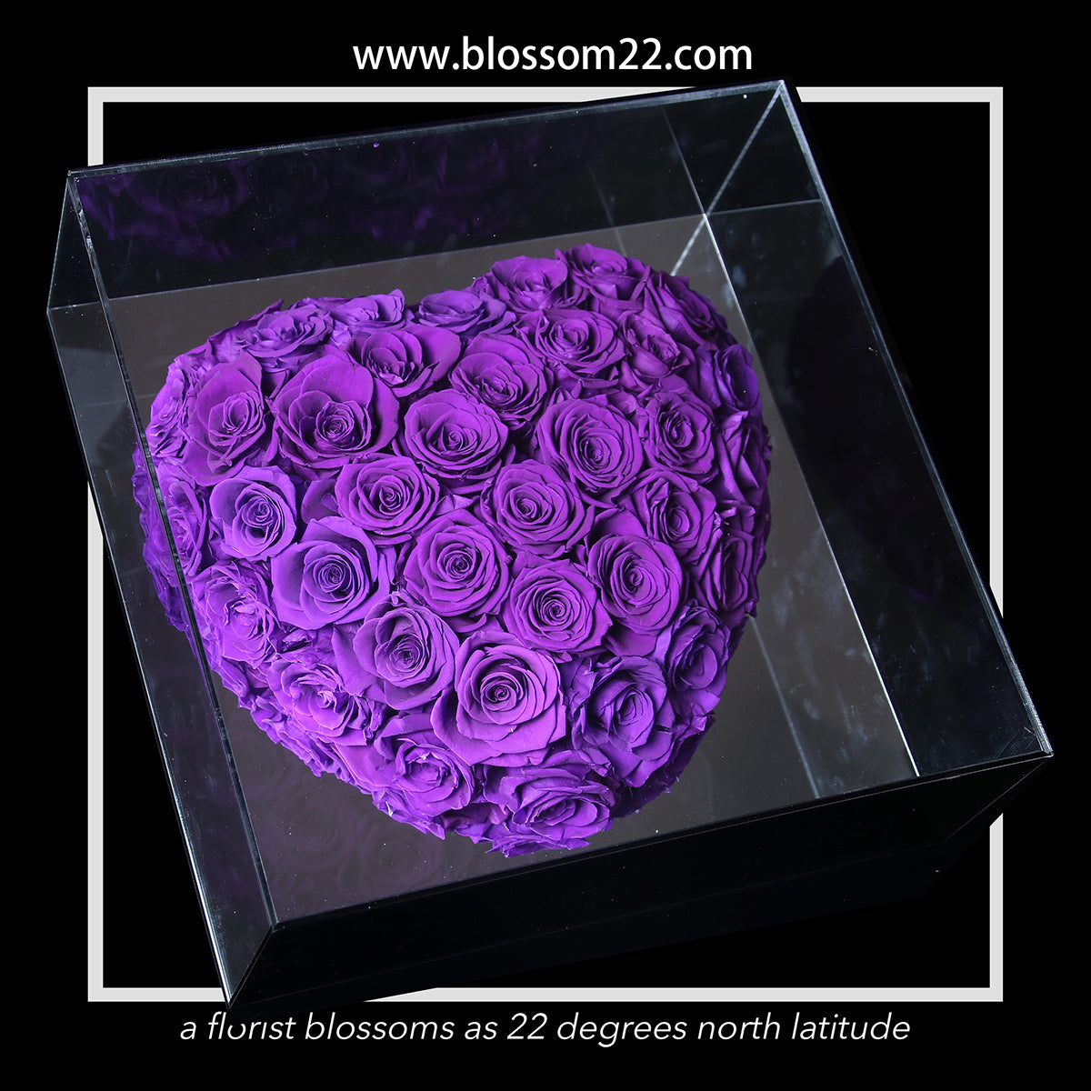 XXL 3D Heart Preserved Rose ｜巨型立體鏡面玫瑰之心保鮮花盒 - Purple  Blossom22hk