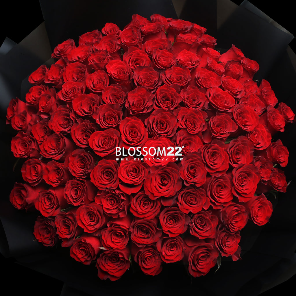 99枝 紅玫瑰求婚花束  99 Red Roses Bouquet fresh bouquet 鮮花束 Blossom22°