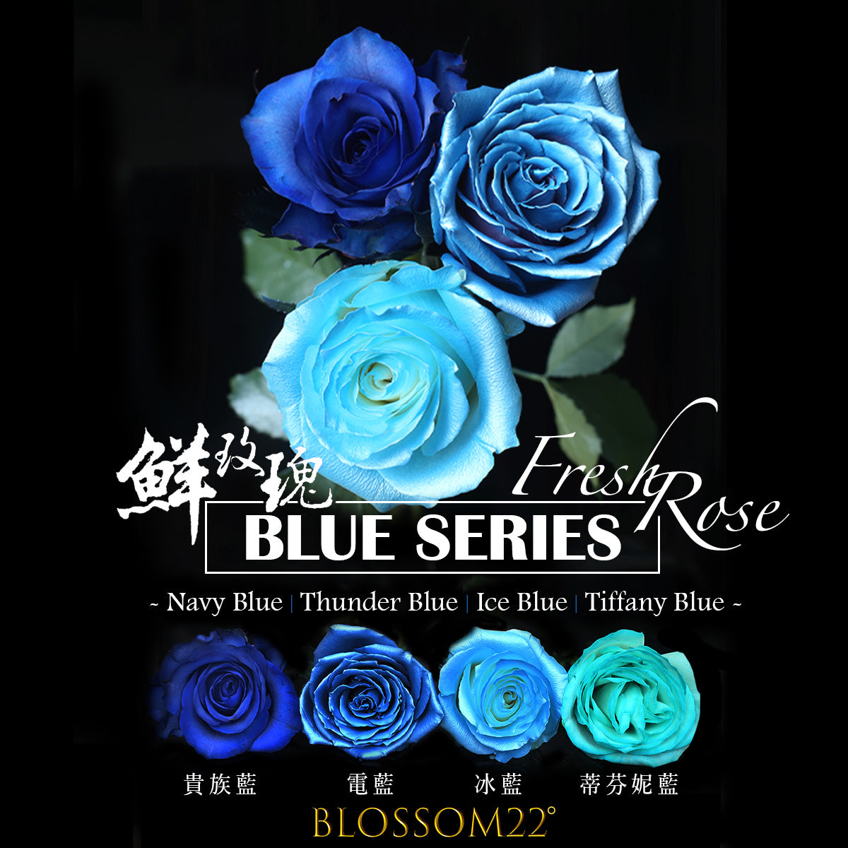 29枝 貴族藍玫瑰花束｜29 Navy Blue Dyeing Roses Bouquet fresh bouquet 鮮花束 BLOSSOM22