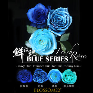 19枝 冰閃藍玫瑰花束｜19 Ice Blue Dyeing Rose bouquet (Frozen) fresh bouquet 鮮花束 BLOSSOM22